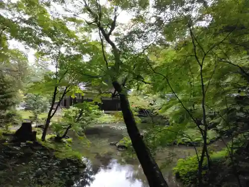 南禅院の庭園