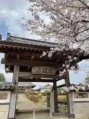 宝寿院の山門