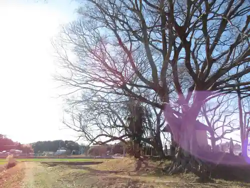 神明神社(千葉県)