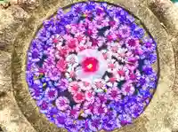 埼玉厄除け開運大師・龍泉寺(切り絵御朱印発祥の寺)の手水舎