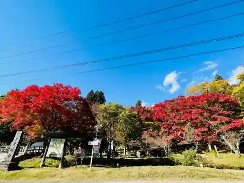 土津神社｜こどもと出世の神さまの景色