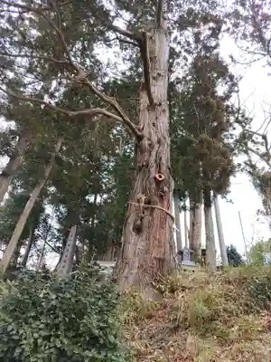 阿久津「田村神社」（郡山市阿久津町）旧社名：伊豆箱根三嶋三社(福島県)
