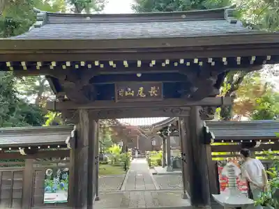 妙楽寺の山門・神門