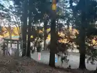 大宮温泉神社(栃木県)