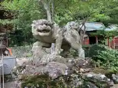 筑波山神社の狛犬