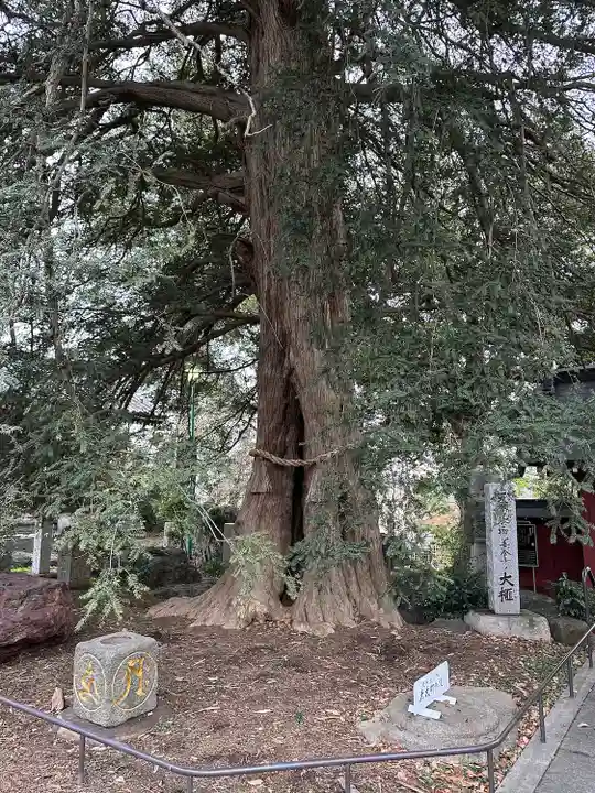善養寺(善養密寺)(東京都)
