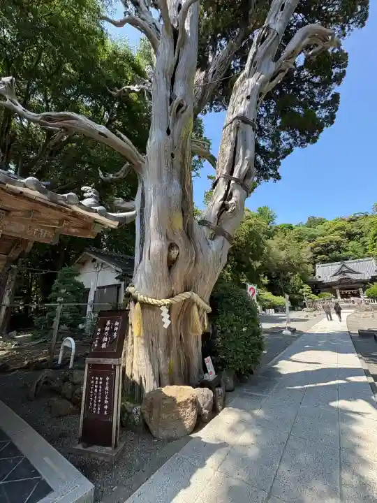 伊古奈比咩命神社(静岡県)