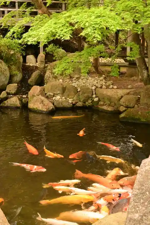楽法寺(雨引観音)(茨城県)