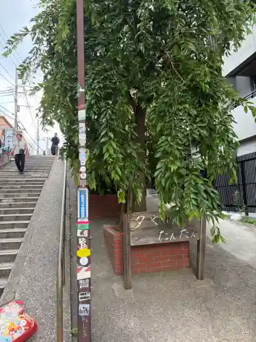 宗林寺(東京都)