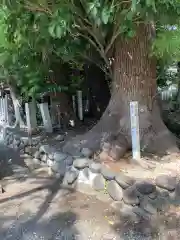 川原神社の自然