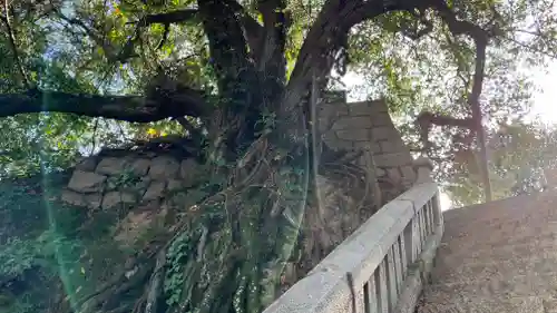 祇園神社(岡山県)