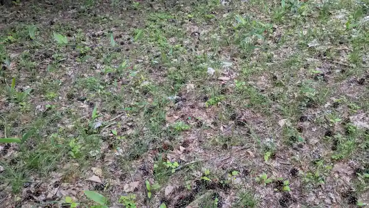 地神社(北海道)