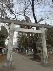 大井氷川神社の鳥居