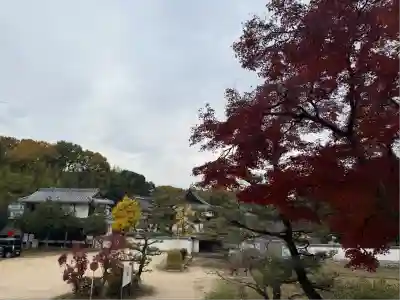 備中國分寺(岡山県)