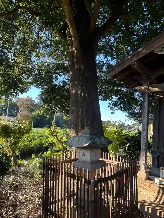 大岾稲荷社(埼玉県)