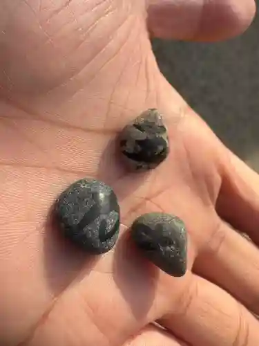 住吉大社の{uncategorized: "未分類", other: "その他", undefined: "問題あり", building: "その他建物", grave: "お墓", sacred_gate: "鳥居", guardian: "狛犬", statue: "像", buddha: "仏像", history: "歴史", nature: "自然", garden: "庭園", animal: "動物", pagoda: "塔", temizu: "手水舎", mountain_gate: "山門・神門", sanctuary: "本殿・本堂", subordinate: "末社・摂社", art: "芸術", scenery: "景色", jizo: "地蔵", ema: "絵馬", goshuin: "御朱印", omikuji: "おみくじ", items: "授与品その他", amulet: "お守り", goshuincho: "御朱印帳", eats: "食事", festival: "お祭り", votive_dance: "神楽", shichigosan: "七五三参", wedding: "結婚式", experience: "体験その他", initially: "初詣", around: "周辺", anti_infection: "感染症対策"}