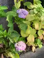 横浜 西方寺(神奈川県)