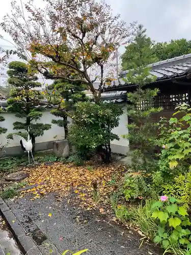 祐正寺の庭園