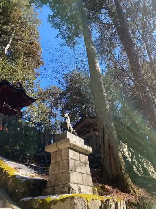 三峯神社(埼玉県)