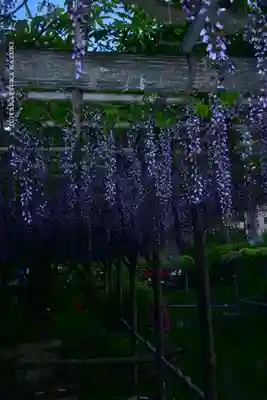 亀戸天神社(東京都)