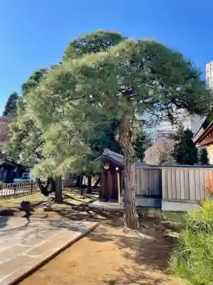 東北寺(東京都)
