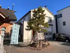 札幌村神社(北海道)