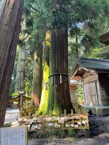 高千穂神社(宮崎県)