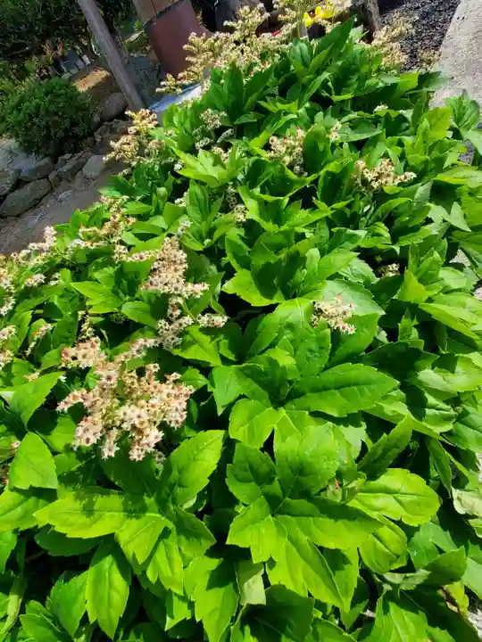 大鏑神社の自然