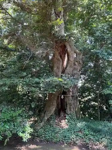 蛟蝄神社奥の宮(茨城県)
