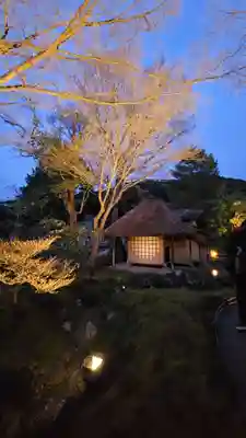 高台寺（高台寿聖禅寺・高臺寺）(京都府)