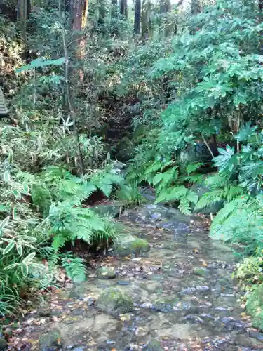 成田山新勝寺の自然