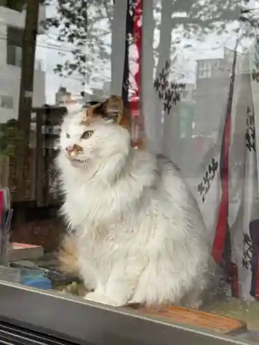 阿邪訶根神社(福島県)