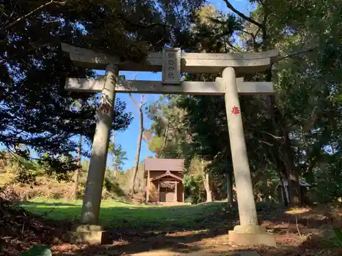 諏訪神社の鳥居