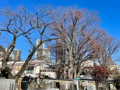 本納寺の{uncategorized: "未分類", other: "その他", undefined: "問題あり", building: "その他建物", grave: "お墓", sacred_gate: "鳥居", guardian: "狛犬", statue: "像", buddha: "仏像", history: "歴史", nature: "自然", garden: "庭園", animal: "動物", pagoda: "塔", temizu: "手水舎", mountain_gate: "山門・神門", sanctuary: "本殿・本堂", subordinate: "末社・摂社", art: "芸術", scenery: "景色", jizo: "地蔵", ema: "絵馬", goshuin: "御朱印", omikuji: "おみくじ", items: "授与品その他", amulet: "お守り", goshuincho: "御朱印帳", eats: "食事", festival: "お祭り", votive_dance: "神楽", shichigosan: "七五三参", wedding: "結婚式", experience: "体験その他", initially: "初詣", around: "周辺", anti_infection: "感染症対策"}