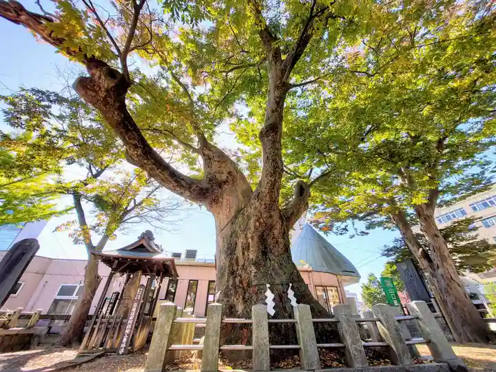 阿邪訶根神社の自然