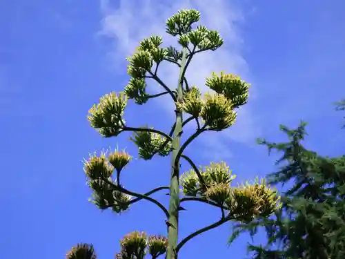 烏森神社(東京都)
