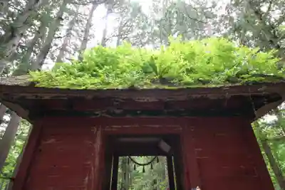 戸隠神社奥社(長野県)