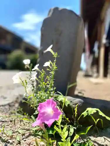 白鳥神社(長野県)