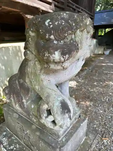 住吉神社の狛犬