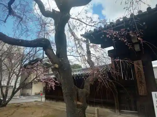 妙覺寺（妙覚寺）のその他建物