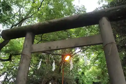 越ヶ谷久伊豆神社の鳥居