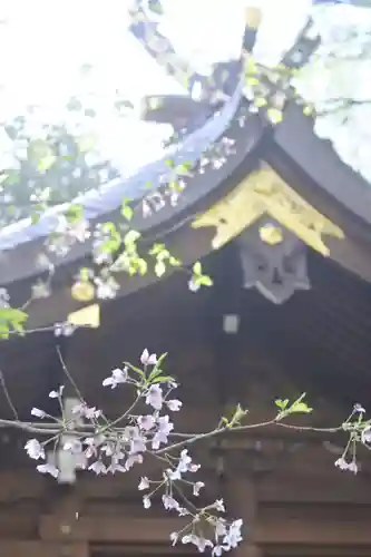 子安神社の自然