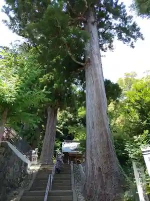 日枝神社のその他建物