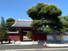 遍照寺の山門