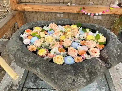 発寒神社の{uncategorized: "未分類", other: "その他", undefined: "問題あり", building: "その他建物", grave: "お墓", sacred_gate: "鳥居", guardian: "狛犬", statue: "像", buddha: "仏像", history: "歴史", nature: "自然", garden: "庭園", animal: "動物", pagoda: "塔", temizu: "手水舎", mountain_gate: "山門・神門", sanctuary: "本殿・本堂", subordinate: "末社・摂社", art: "芸術", scenery: "景色", jizo: "地蔵", ema: "絵馬", goshuin: "御朱印", omikuji: "おみくじ", items: "授与品その他", amulet: "お守り", goshuincho: "御朱印帳", eats: "食事", festival: "お祭り", votive_dance: "神楽", shichigosan: "七五三参", wedding: "結婚式", experience: "体験その他", initially: "初詣", around: "周辺", anti_infection: "感染症対策"}