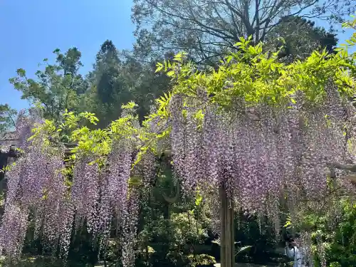 歌泉堂（春日大社神苑萬葉植物園内鎮座）(奈良県)