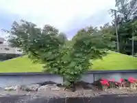 伊勢の国 四天王寺の自然