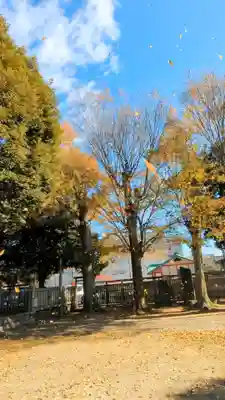 八雲神社 (通五丁目)の自然