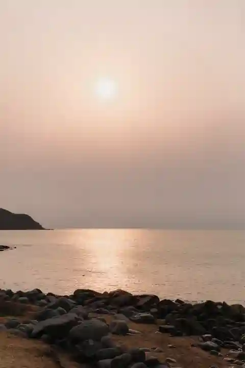 櫻井神社(福岡県)