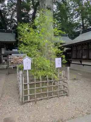 一言主神社(茨城県)